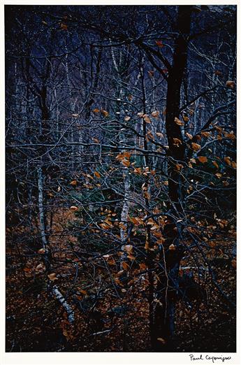 (CAPONIGRO; FONTANA; GARNETT; GIBSON; PORTER) A portfolio entitled Color Nature Landscapes II.